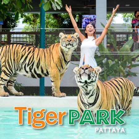 Alcazar Show & Tiger Park Pattaya Combo