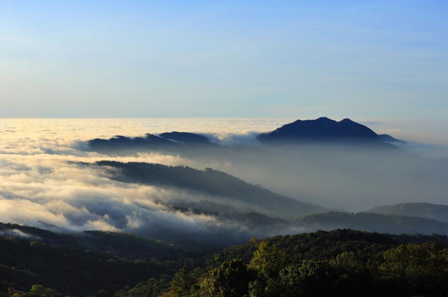 Doi Inthanon National Park Guided Day
