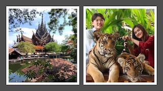 Sanctuary Of Truth Tiger Park Pattaya Combo Tour from Bangkok