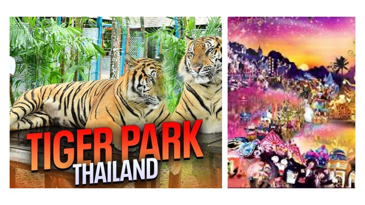 Tiger Kingdom & FantaSea Show Combo