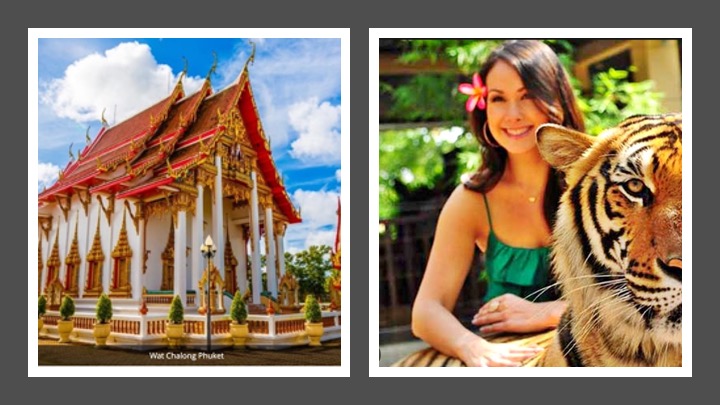 Krabi to Phuket Transfer, Guided City Tour & Tiger Kingdom