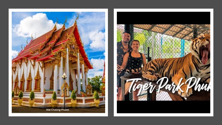 Krabi to Phuket Transfer, Guided City Tour & Tiger Park