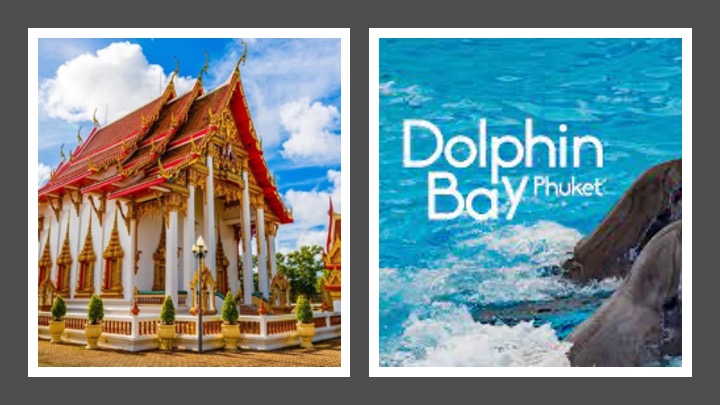 Krabi to Phuket Transfer, Guided City Tour & Dolphin Bay