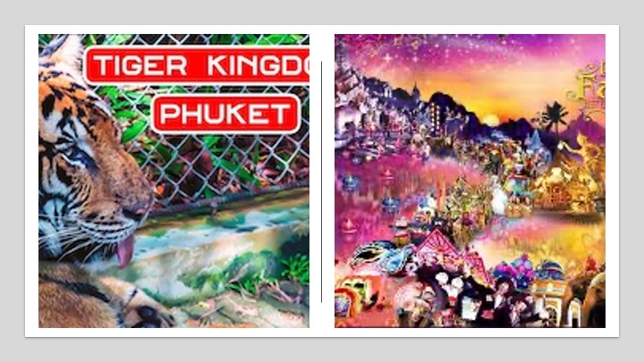 Krabi to Phuket Transfer, Tiger Kingdom & FantaSea Show