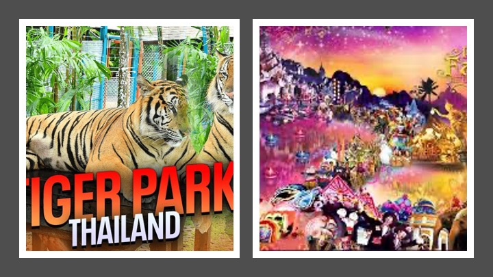 Krabi to Phuket Transfer, Tiger Park & FantaSea Show