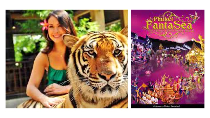 Tiger Park & FantaSea Show Combo