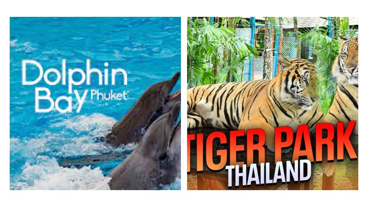 Dolphins Bay & Tiger Park Combo