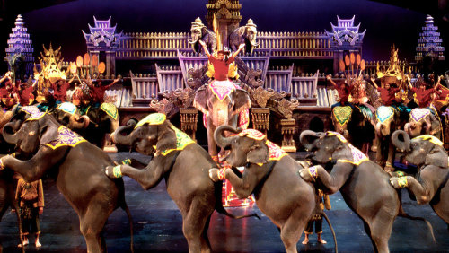 Phuket Fantasea Show
